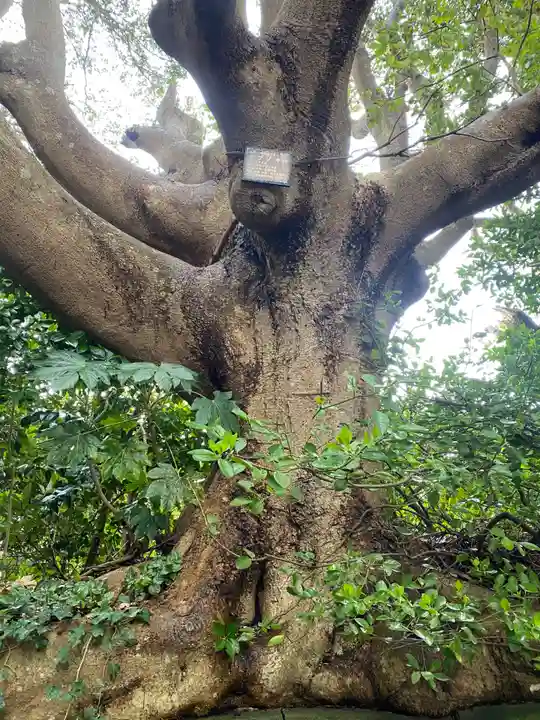 酒列磯前神社(茨城県)