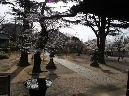 寛永寺(根本中堂)の庭園