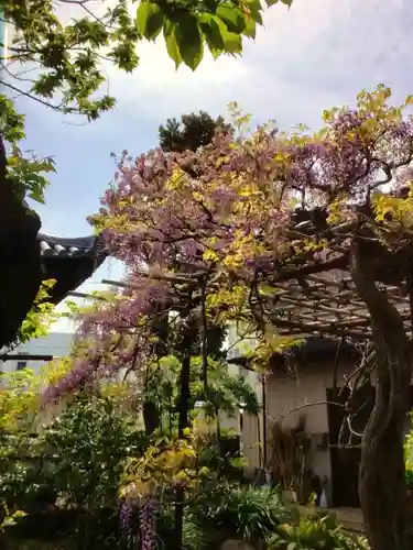 圓照寺(東京都)