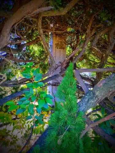 八龍社（稲島）のその他建物