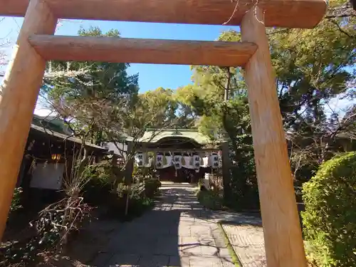 堀越神社の鳥居