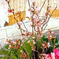 彌彦神社 (伊夜日子神社)の手水舎