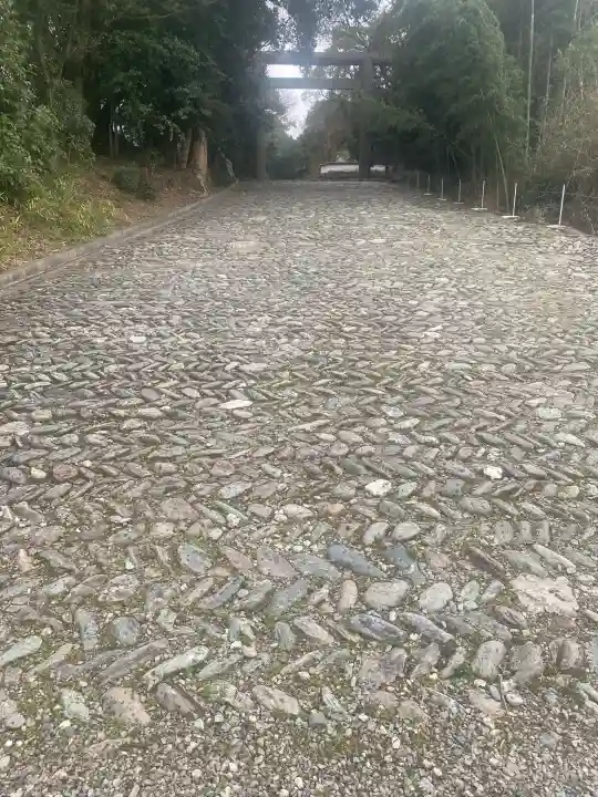 伊曽乃神社の{uncategorized: "未分類", other: "その他", undefined: "問題あり", building: "その他建物", grave: "お墓", sacred_gate: "鳥居", guardian: "狛犬", statue: "像", buddha: "仏像", history: "歴史", nature: "自然", garden: "庭園", animal: "動物", pagoda: "塔", temizu: "手水舎", mountain_gate: "山門・神門", sanctuary: "本殿・本堂", subordinate: "末社・摂社", art: "芸術", scenery: "景色", jizo: "地蔵", ema: "絵馬", goshuin: "御朱印", omikuji: "おみくじ", items: "授与品その他", amulet: "お守り", goshuincho: "御朱印帳", eats: "食事", festival: "お祭り", votive_dance: "神楽", shichigosan: "七五三参", wedding: "結婚式", experience: "体験その他", initially: "初詣", around: "周辺", anti_infection: "感染症対策"}
