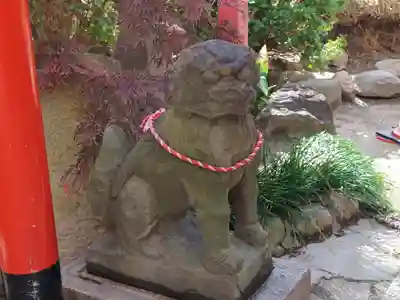 尼崎えびす神社の狛犬