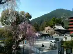 久遠寺の建物その他