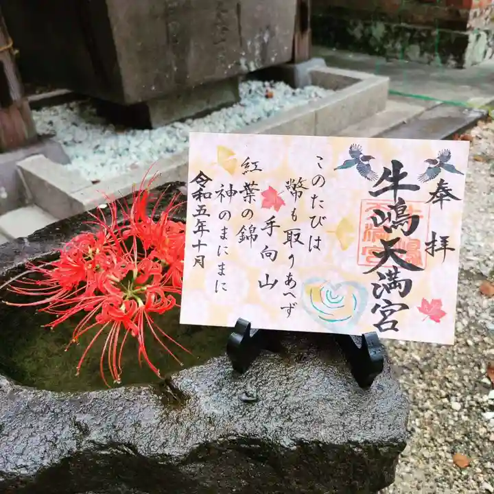 牛嶋天満宮(佐賀県)