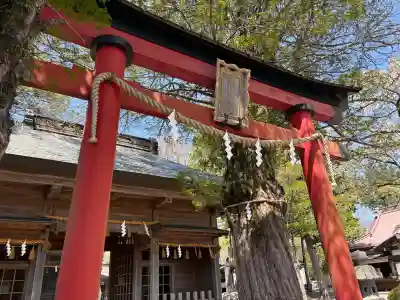 淺間神社(忍野八海)の{uncategorized: "未分類", other: "その他", undefined: "問題あり", building: "その他建物", grave: "お墓", sacred_gate: "鳥居", guardian: "狛犬", statue: "像", buddha: "仏像", history: "歴史", nature: "自然", garden: "庭園", animal: "動物", pagoda: "塔", temizu: "手水舎", mountain_gate: "山門・神門", sanctuary: "本殿・本堂", subordinate: "末社・摂社", art: "芸術", scenery: "景色", jizo: "地蔵", ema: "絵馬", goshuin: "御朱印", omikuji: "おみくじ", items: "授与品その他", amulet: "お守り", goshuincho: "御朱印帳", eats: "食事", festival: "お祭り", votive_dance: "神楽", shichigosan: "七五三参", wedding: "結婚式", experience: "体験その他", initially: "初詣", around: "周辺", anti_infection: "感染症対策"}
