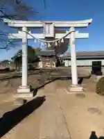 樋詰氷川神社(埼玉県)