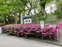 上野大佛(東京都)