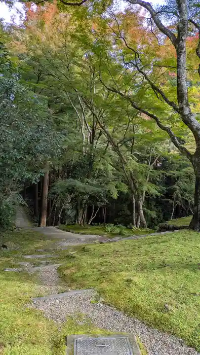 神護寺(京都府)