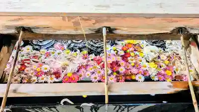 検見川神社の手水舎