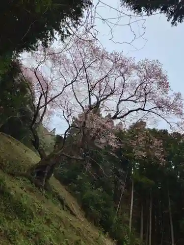 廣實神社(山口県)