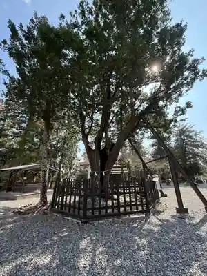 天宮神社(静岡県)