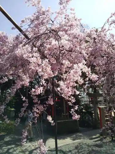 水火天満宮の自然