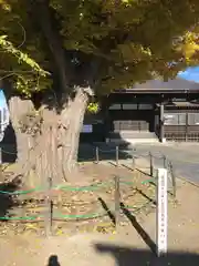 法国寺の自然