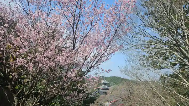 金峯山寺の景色