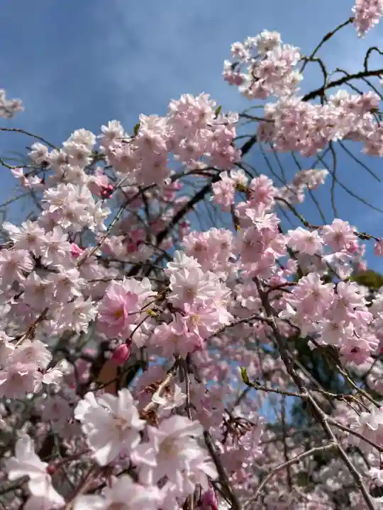 伊川谷惣社(兵庫県)