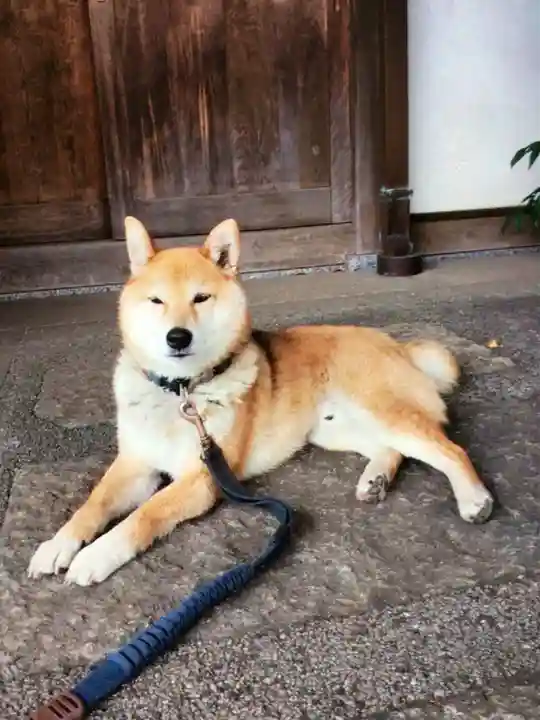 感通寺(東京都)