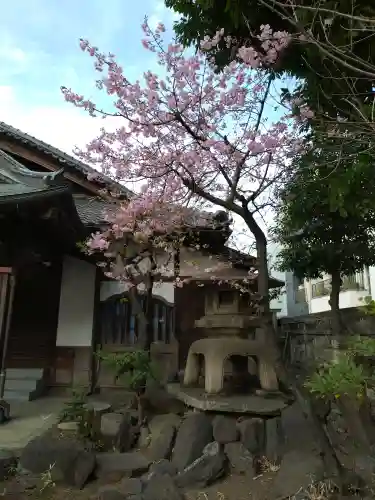 牛嶋神社の自然