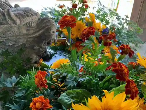 滑川神社 - 仕事と子どもの守り神の手水舎