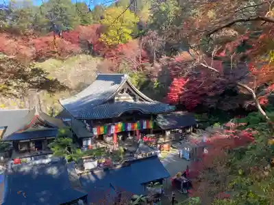 岡寺（龍蓋寺）(奈良県)