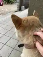 笠䅣稲荷神社(神奈川県)