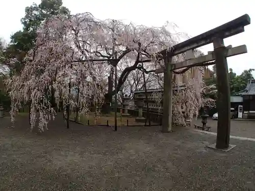 大石神社の庭園