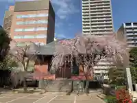 善性寺(東京都)