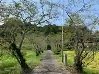 長谷神社のその他建物
