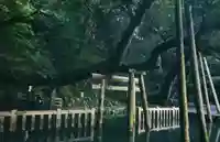 鹿島神宮(茨城県)