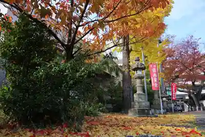 阿邪訶根神社の自然