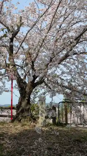 柳澤神社(奈良県)