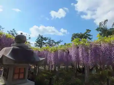 三大神社のその他建物