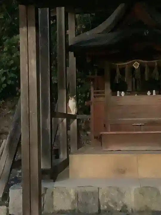 八事山 興正寺の動物