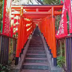 日枝神社の鳥居