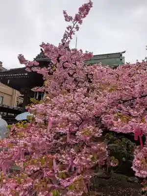 桜神宮(東京都)