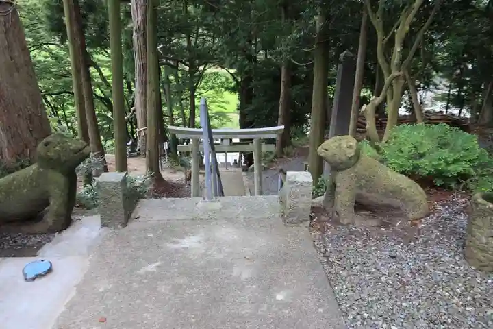 阿久津「田村神社」(郡山市阿久津町)旧社名:伊豆箱根三嶋三社の狛犬
