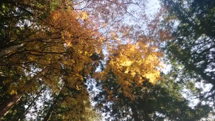 東金砂神社(茨城県)