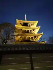 東寺（教王護国寺）(京都府)