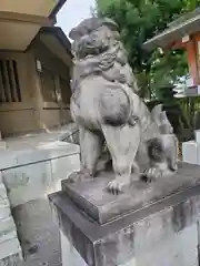 東郷神社の狛犬