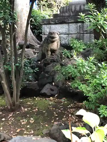 鳩森八幡神社の狛犬