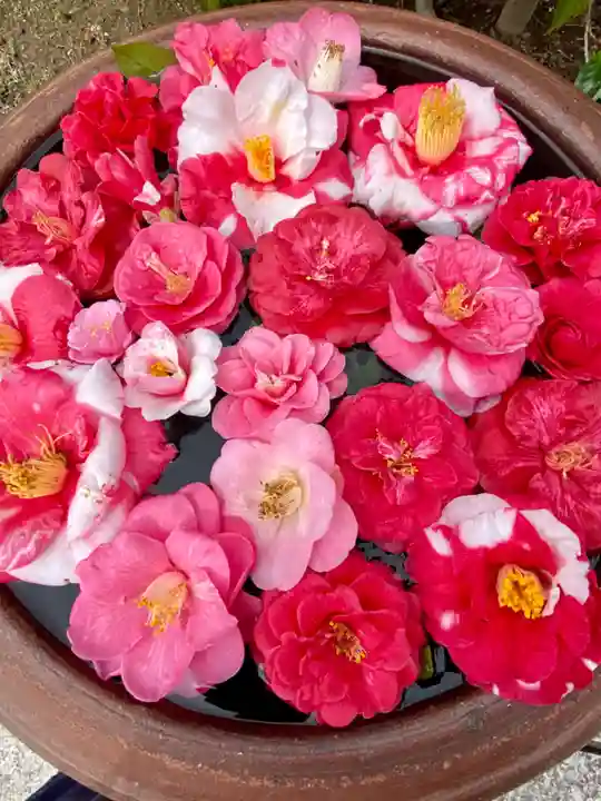 霊鑑寺門跡(京都府)