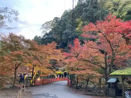 神護寺の景色