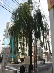 吉原神社の自然