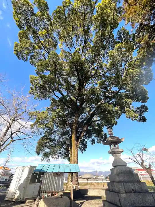 八幡神社(三重県)