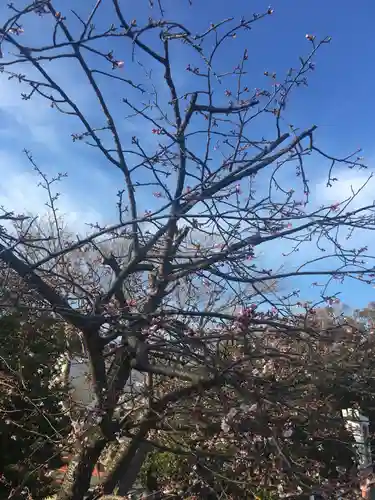 鶴岡八幡宮(神奈川県)