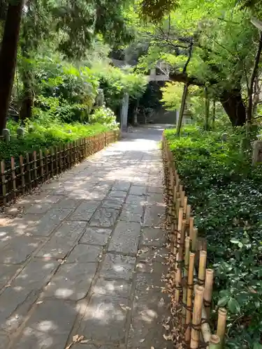 赤坂氷川神社の景色