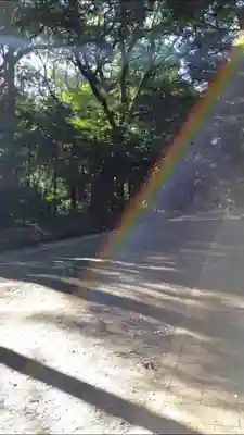 明治神宮(東京都)