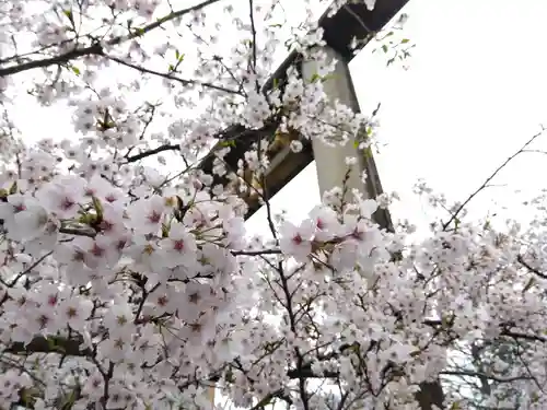 神明神社(福井県)