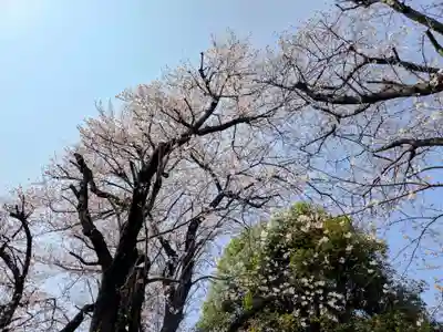 桜森稲荷神社(神奈川県)
